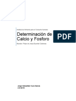 Determinacion de Calcio y Fosforo