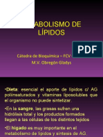 Metabolismo de Lipidos