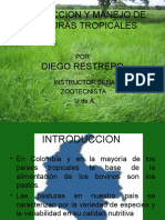 Produccion y Manejo de Pasturas Tropicales