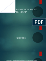 Ischemia, Infarction, Shock and Edema