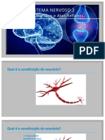 Ciências 9º Ano - Sistema Nervoso 2