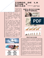 Mecanismos de La Evolución y Evidencias Garcia Meneses Joel