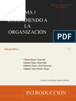 Tema 1 Entendiendo A La Organización