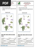 Guias - Naturales - 301 - Del 14 Al 18 de Febrero