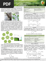 Poster Quimica Verde