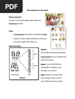 Lesson 1 - 1A - Introduction To Genetics - Notes - Key