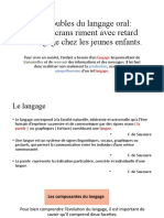 Presentation Retard Du Langage