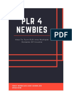 PLR 4 Newbies