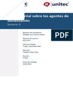 SOCIOLOGIA Mapa Mental Sobre Los Agentes de Socialización Eduardo Turcios