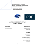 Trabajo de Anatomia SobreEspecies Promisorias