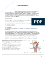 Ľ Appariel Dijestif + Ľ Appariel Genital