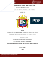 Roger Oswaldo Poccohuanca Aguilar - PDF Llaska