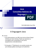 Java - Conceitos Básicos Da Linguagem