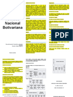 Triptico FSN