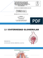 Expo - Enfermedad Glomerular