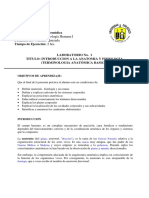 Terminologia Direccional