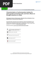 Characterization of Actinomycetes Isolat