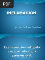 Inflamacion Presentacion