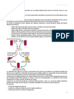 Diabetes Fisio