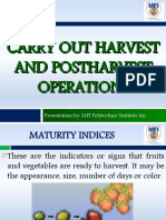 Carry Out Harvest and Postharvest