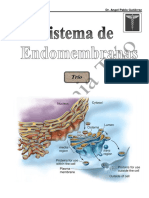 11-Sistema de Endomembranas-Apunte General