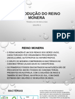 Reprodução Reino Monera