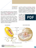 Guia Introductoria Conceptos Fudamentales Biol Celular V.1 PUB