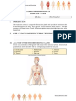 Lab Exercise10 Endocrine System