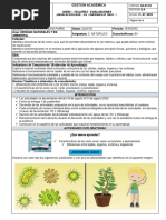 Las Celulas y Su Clasificacion