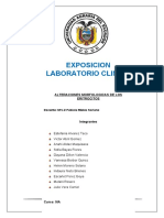 Alteraciones Morfológicas de Los Eritrocitos