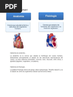 Anatomía y Fisiología I TEMA 2