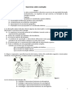 Exercícios Sobre Evolução