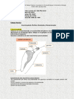 Trabajo Práctico Acantocefalos, Nematodes, Gordiidos y Rotiferos. Grupal