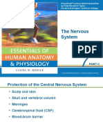 The Nervous System: Part C