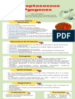 Streptococcus Pyogenes