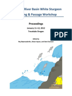 Columbia River Basin White Sturgeon Plan