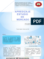 Aprendizaje Del Estudio de Mercado