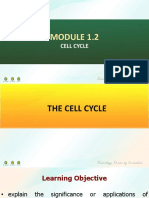 Cell Cycle