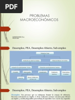 4 - Problemas Macroeconómicos