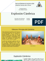 Explosion Cambrica Presentacion