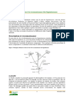 14 12 19 Intro Reconnaissance Legumineuses