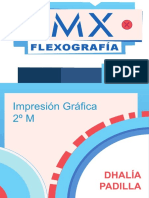 Tema 1 Flexografia