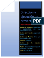 Mapa Conceptual - Dirección y Ejecución de Proyectos