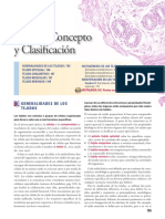 Tejido. Concepto y Clasificacion