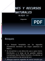 Regiones y Recursos Naturales