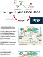 Nitrogen Cycle