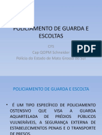 Policiamento de Guarda e Escoltas - CFS