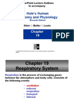 Hole'S Human Anatomy and Physiology: Powerpoint Lecture Outlines To Accompany