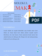 Pku20 04 PPT Lemak