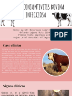 Queratoconjuntivitis Infecciosa Bovina